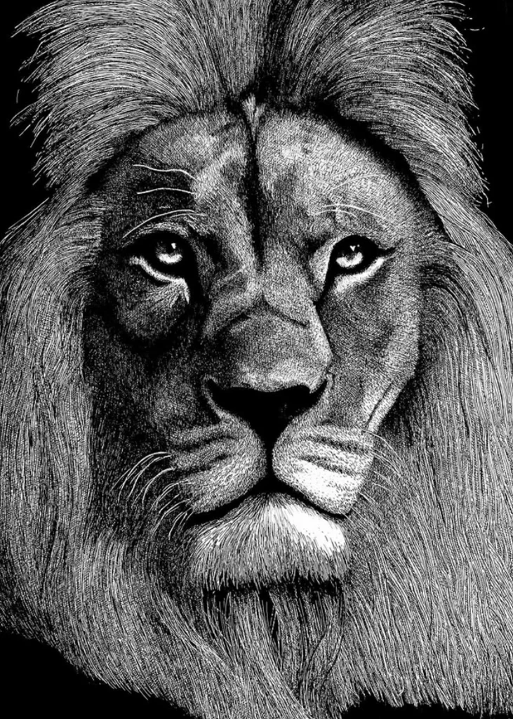 Portrait lion